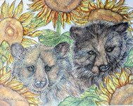 Bears with Sunflowers