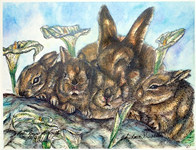 Rabbits in a Row