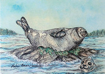 Seal