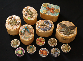 Sealife boxes