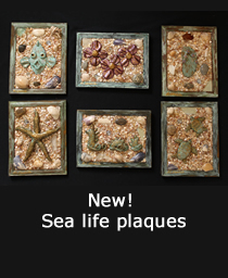Sealife plaques